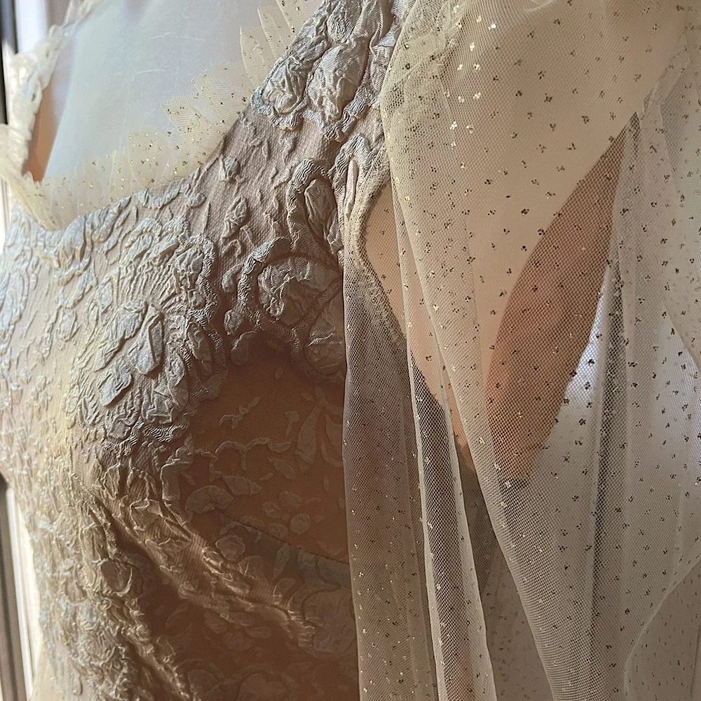 Beautiful Princess style blush color gown with sheer sleeves - Picture 7 of 14
